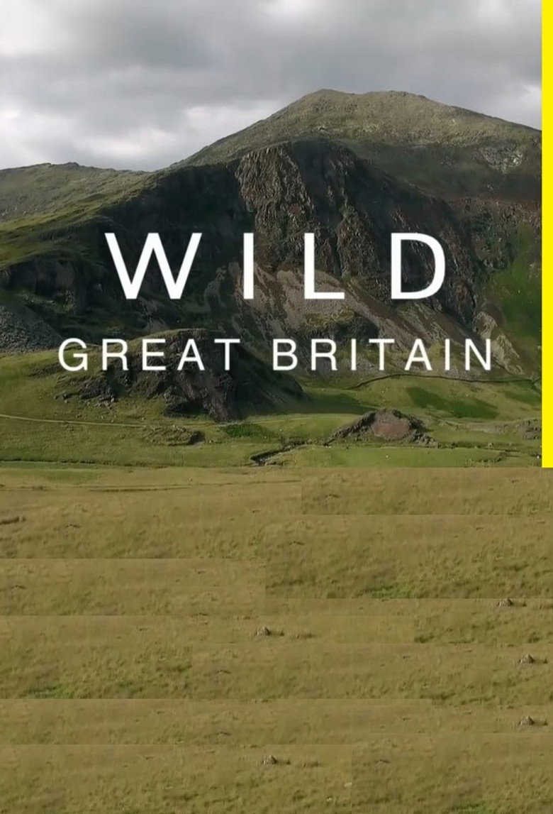 Wild Great Britain poster background