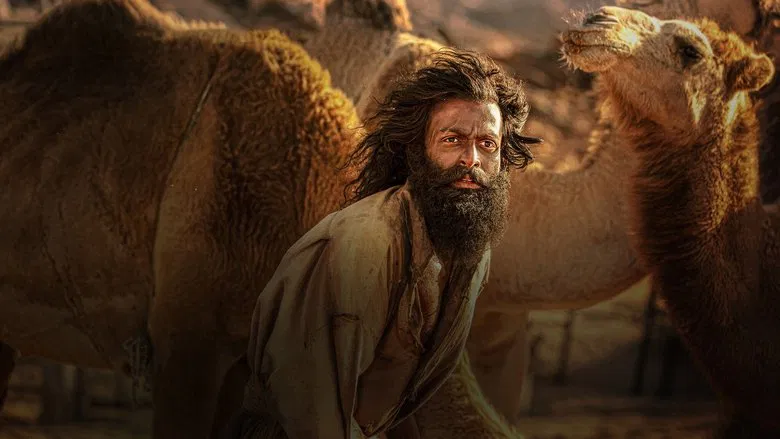 A lone figure in the vast desert, herding goats under the scorching sun