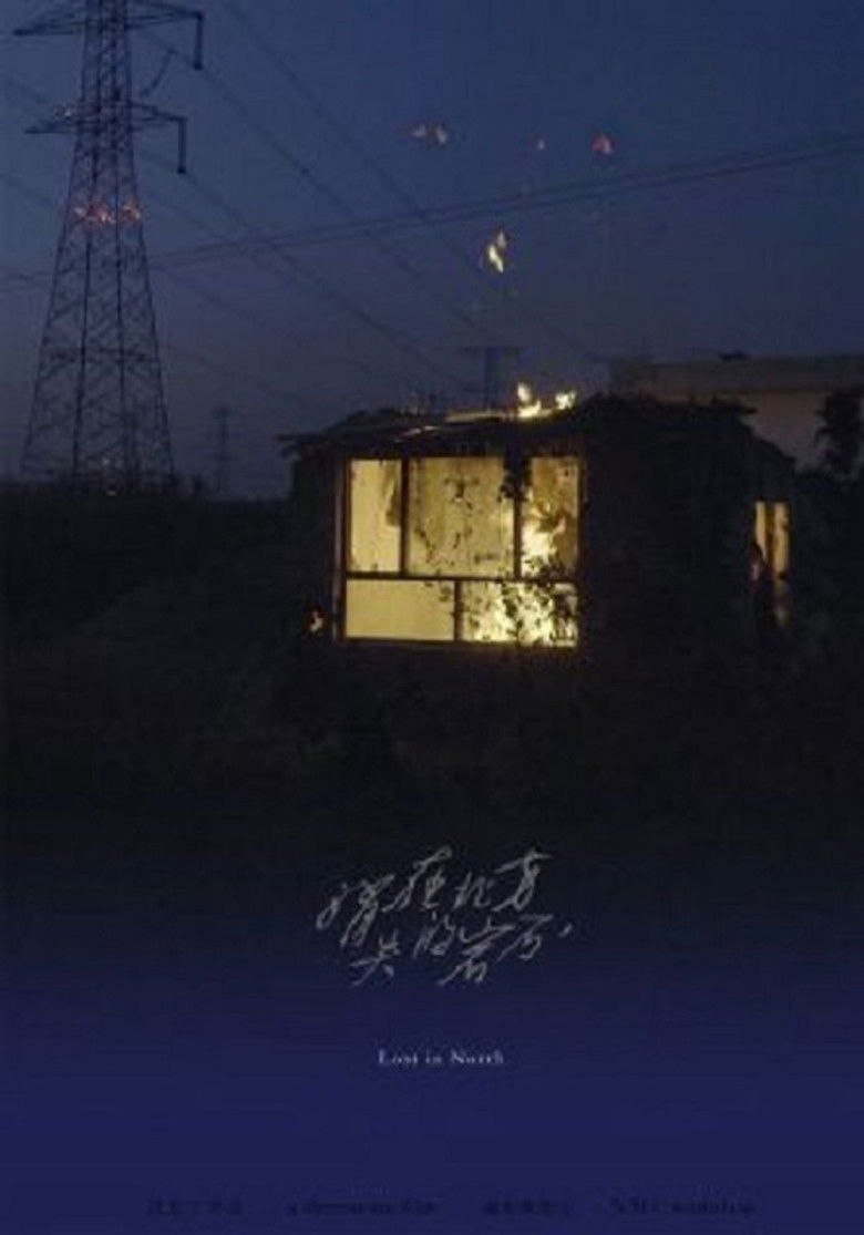 The Stone Lost in North poster background