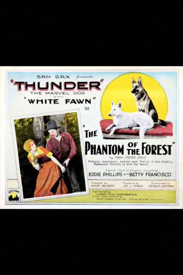 The Phantom of the Forest poster background