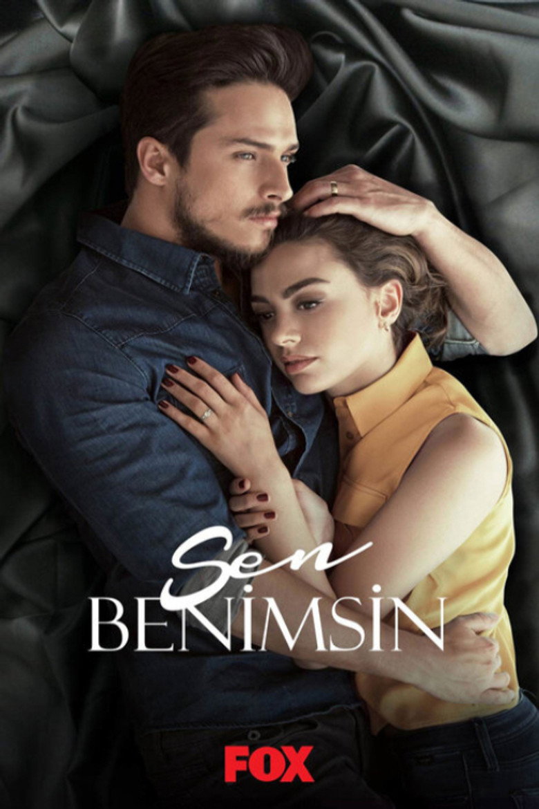 Sen Benimsin poster background