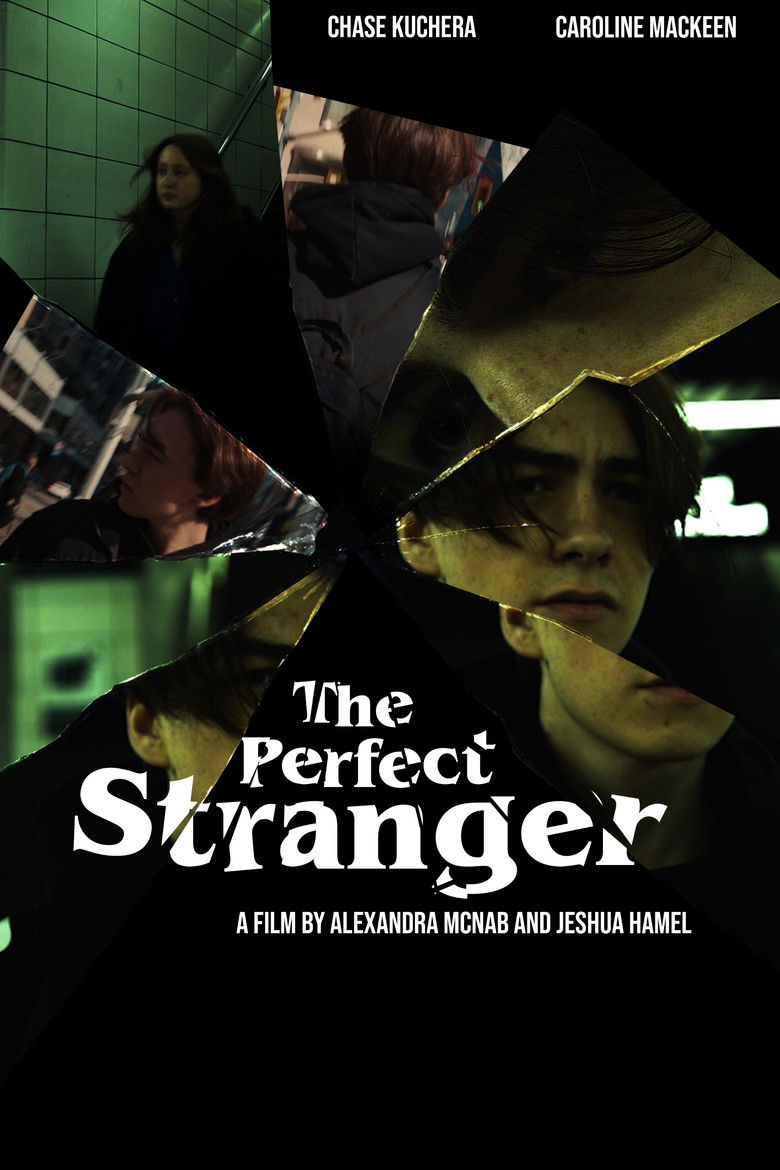 The Perfect Stranger poster background