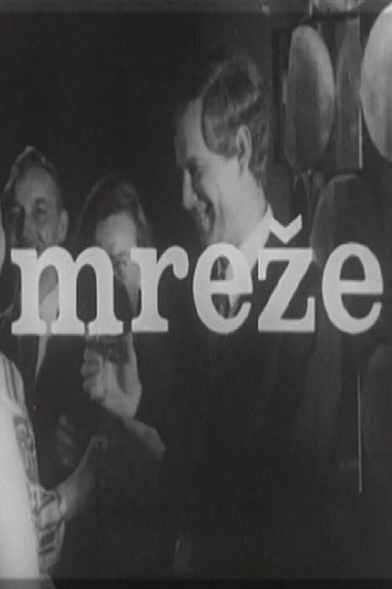 In the Net poster background