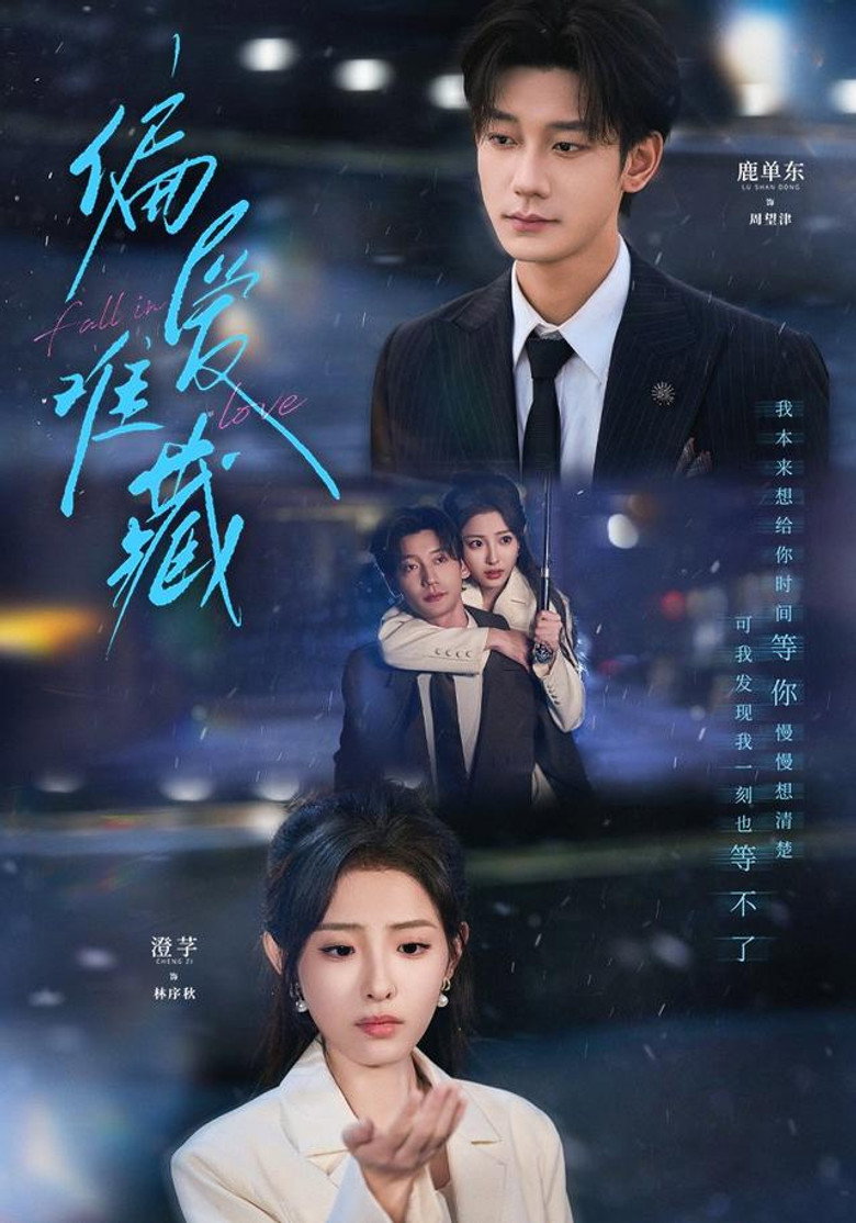 偏爱难藏 poster background