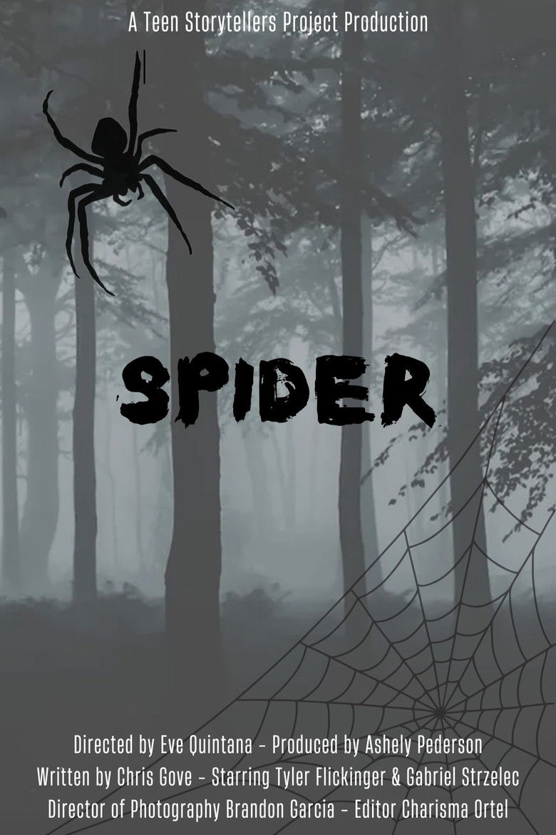Spider poster background