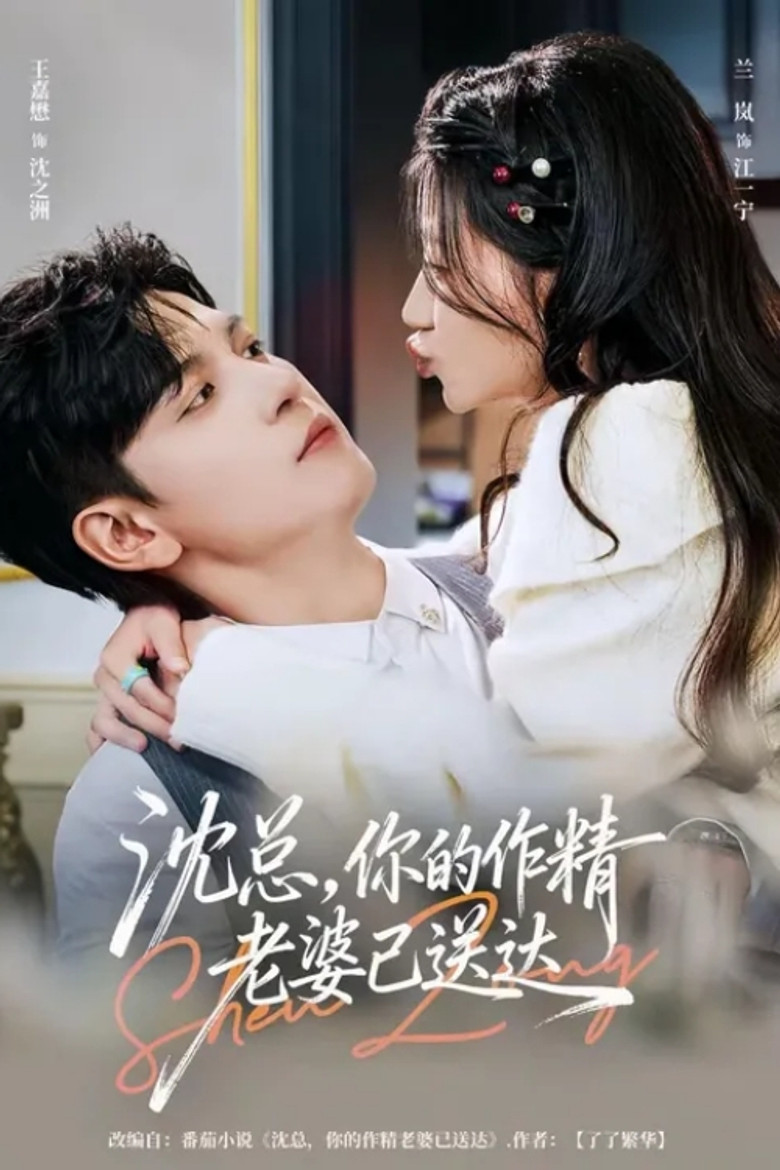 沈总，你的作精老婆已送达 poster background