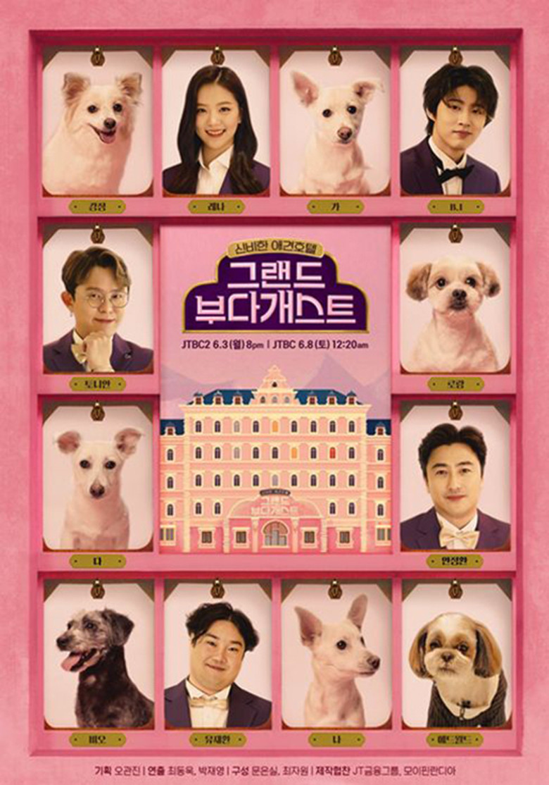 그랜드 부다개스트 poster background