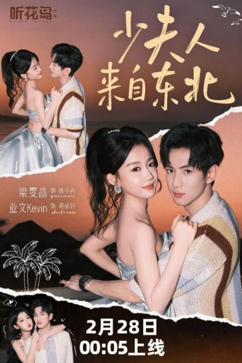 少夫人来自东北 poster background