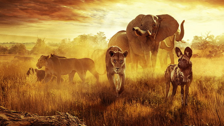 A lioness and her cubs resting in the golden light of the Kalahari, their bodies close together as the vast desert stretches behind them.
