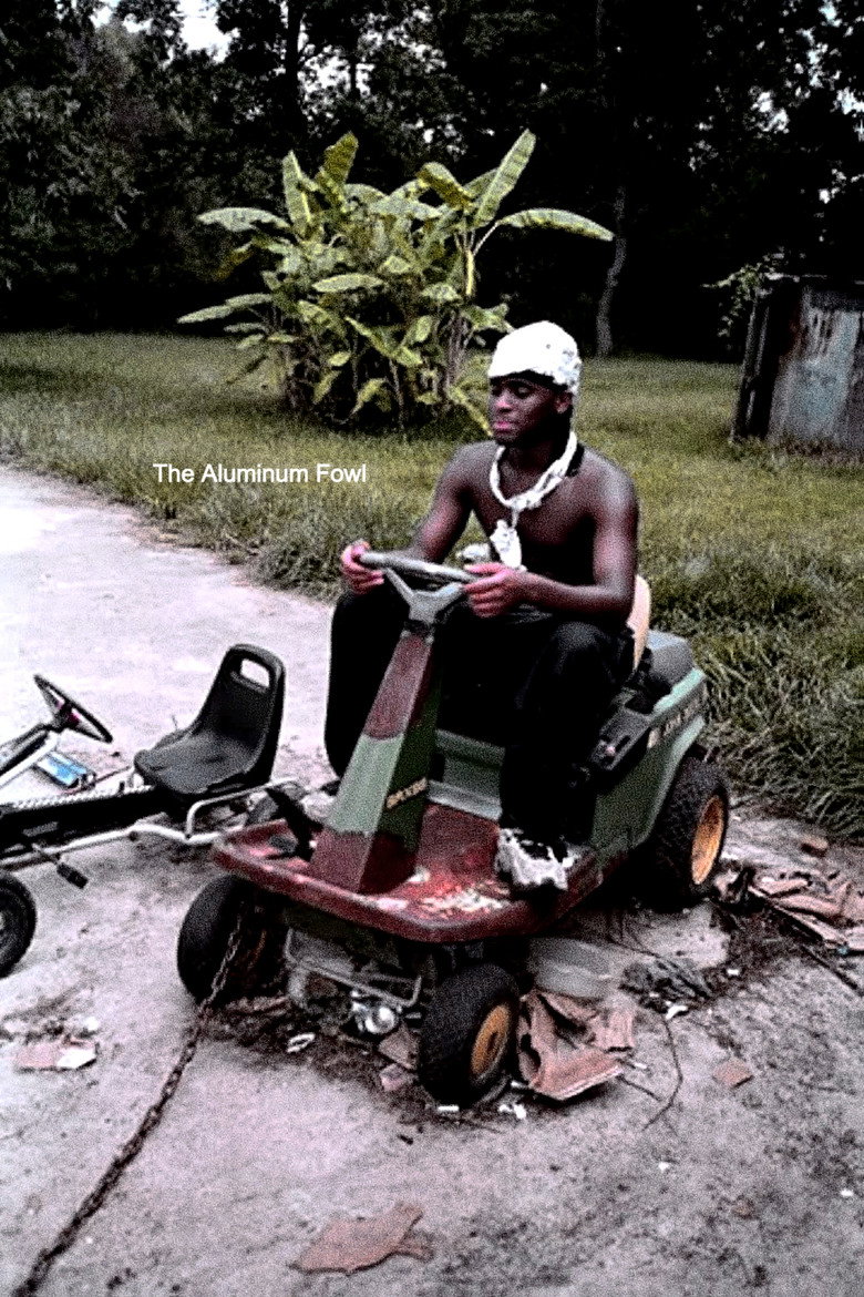 The Aluminum Fowl poster background