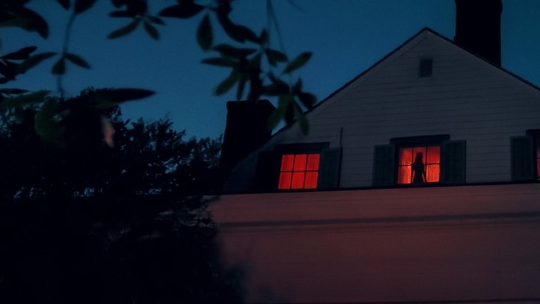 A dimly lit interview room, where a witness recounts an eerie encounter, their face half in shadow.