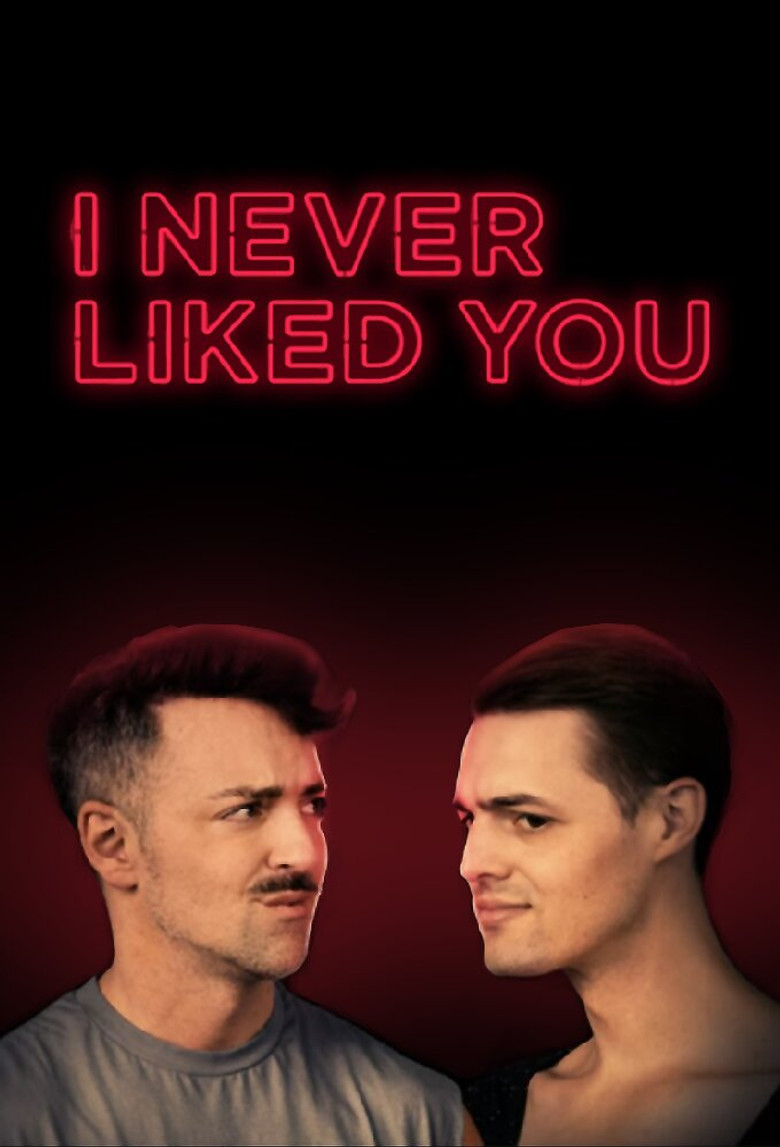 I Never Liked You poster background