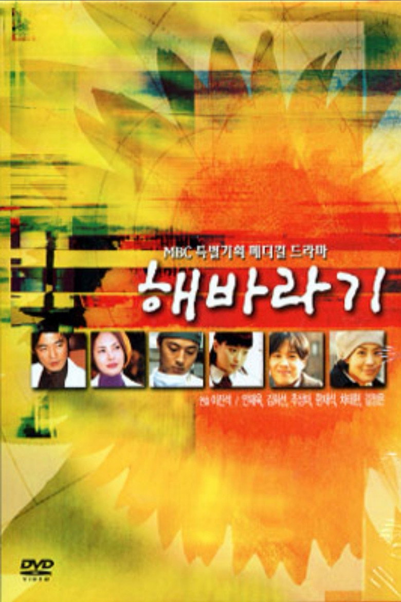 Sunflower poster background