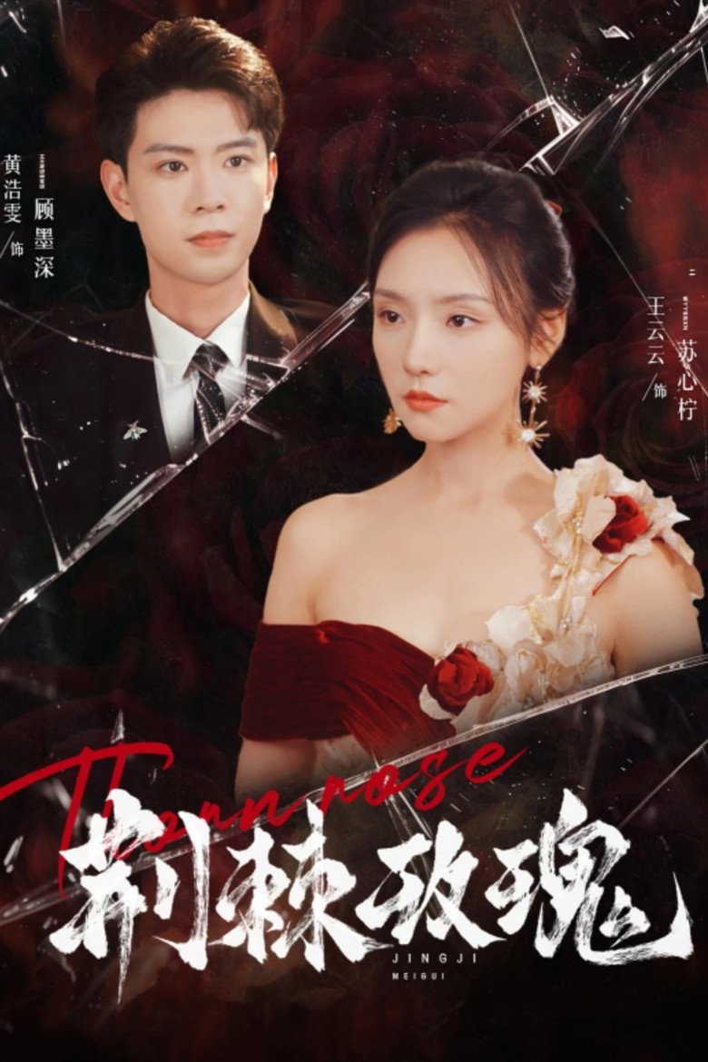 荆棘玫瑰 poster background