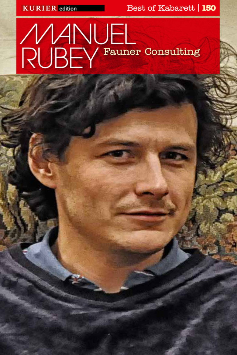 fauner consulting poster background