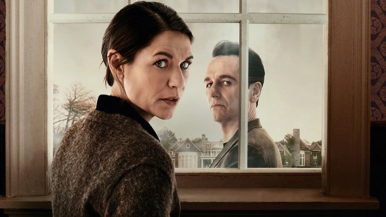 Aggie looking out at the neighborhood