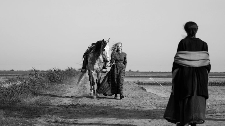 A close-up of Elisa and Marcela in profile, their faces half-lit by candlelight, the black-and-white cinematography softening their features into something almost dreamlike.