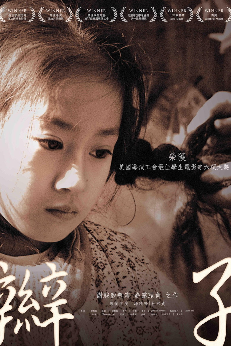 Braid poster background