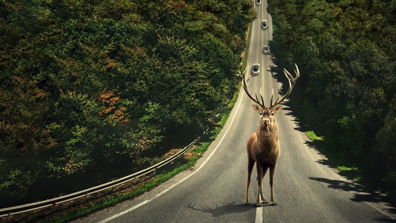 A scene of the family gathering inside the modern home