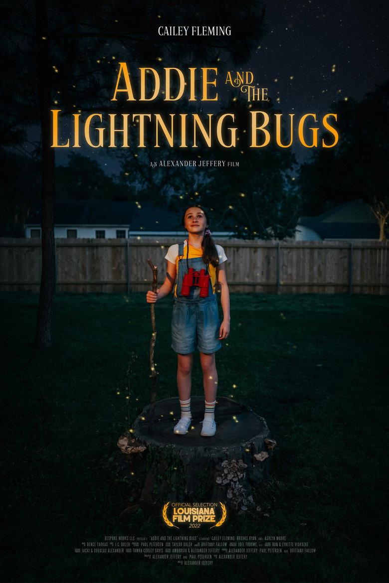 Addie and the Lightning Bugs poster background