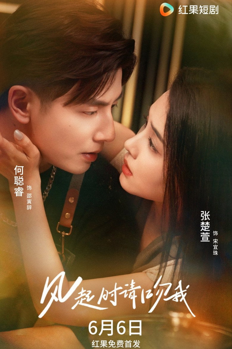 风起时请吻我 poster background