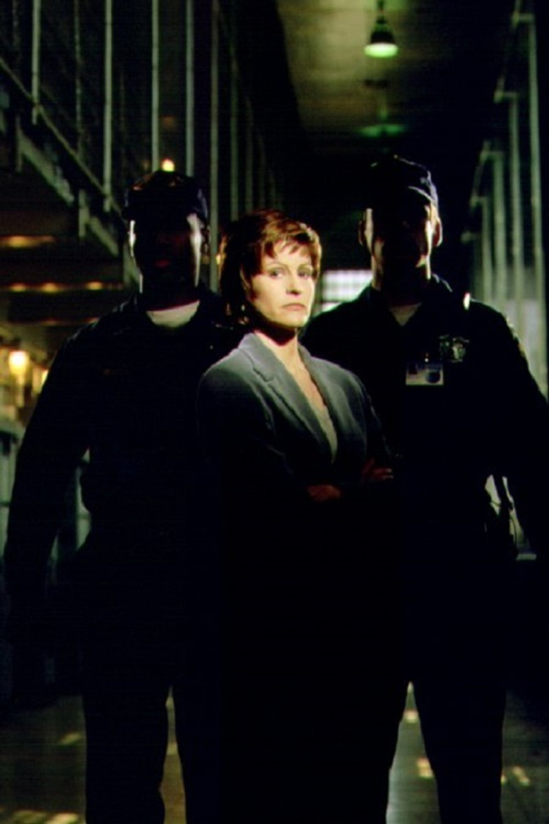 The Warden poster background