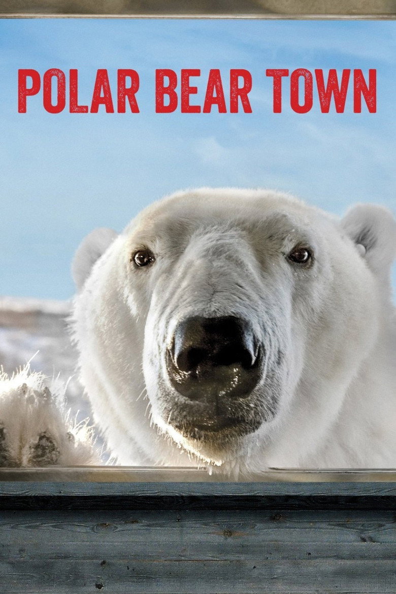 Polar Bear Town poster background