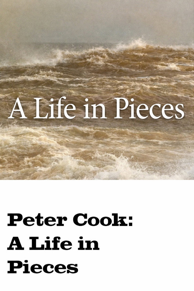 A Life in Pieces poster background