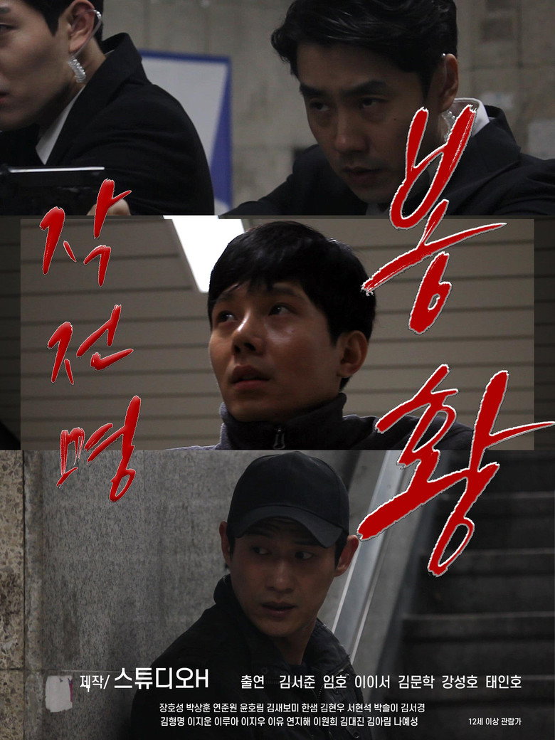 Operation Name Phoenix poster background