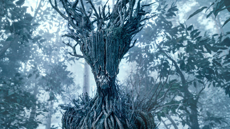 A shadowy forest glade, mist curling between gnarled trees, with the faint silhouette of a monstrous figure lurking just beyond the light.
