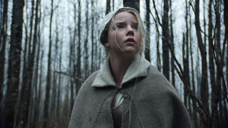 A lone figure in a dark forest, the trees looming like sentinels, the air thick with dread.