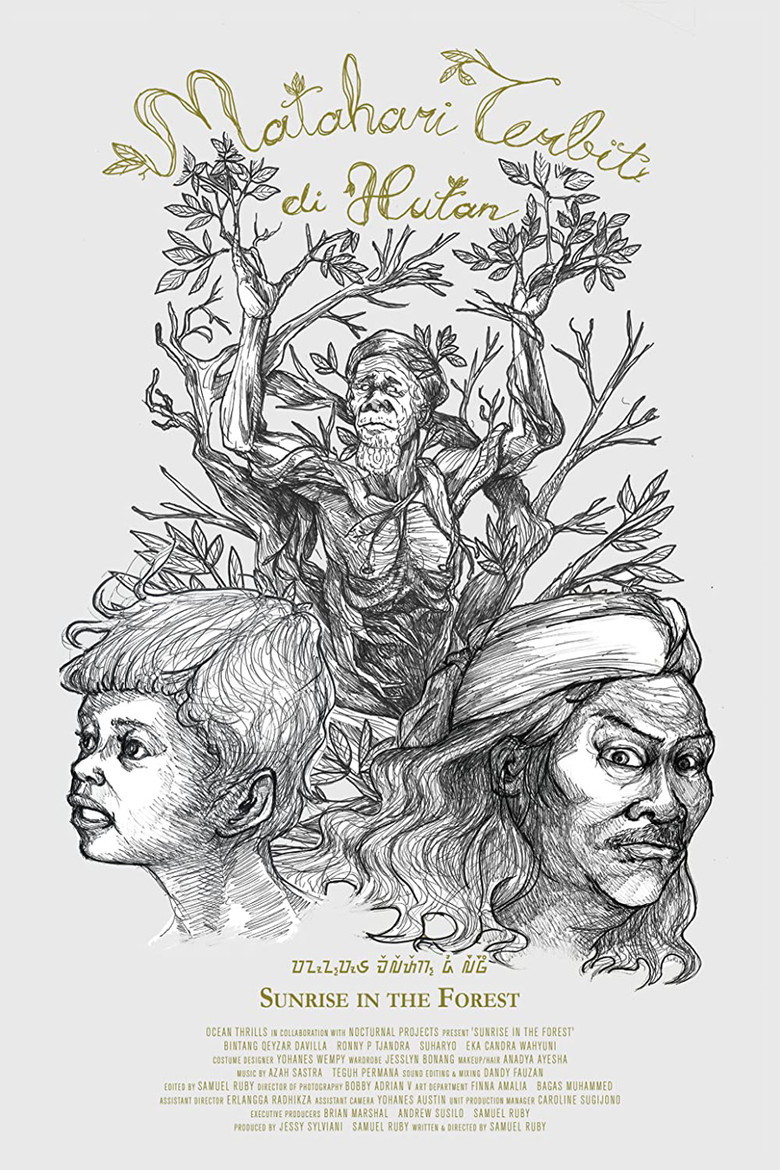 Sunrise in the Forest poster background